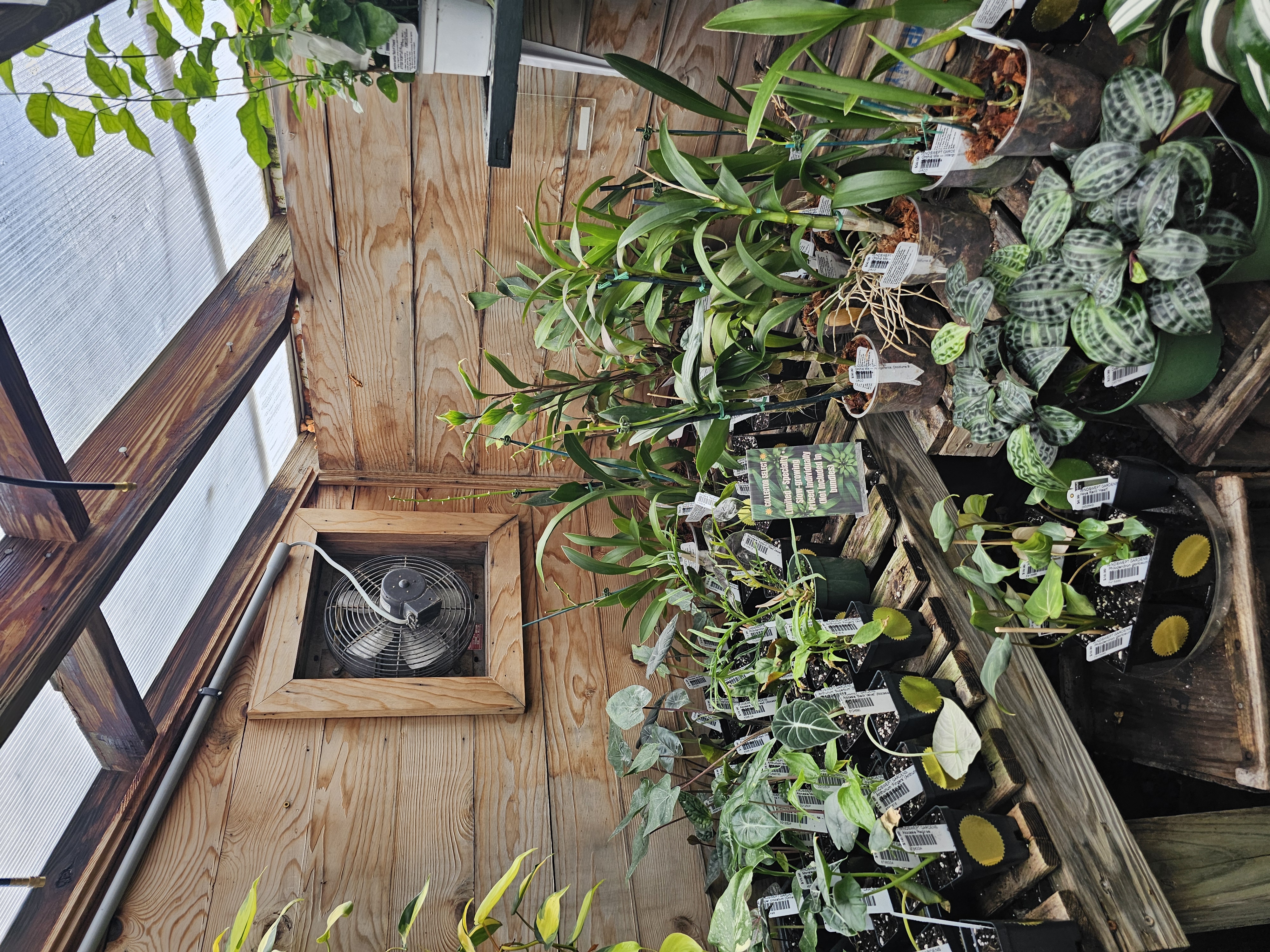 Windswept Indoor Oasis photo 2