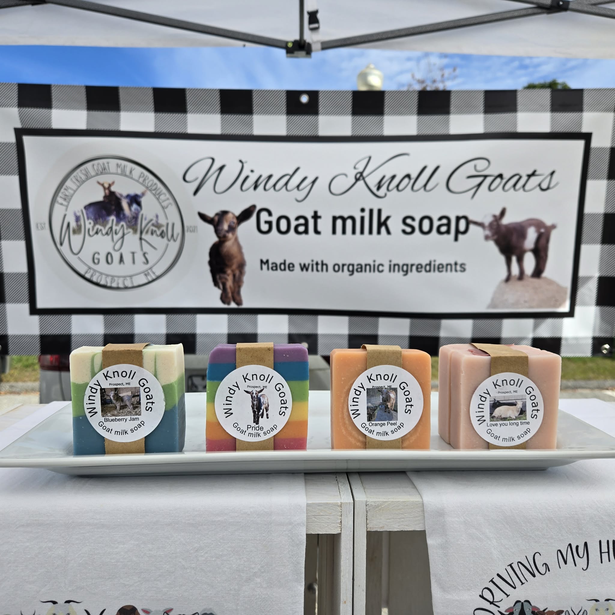 Windy Knoll Goats photo 3