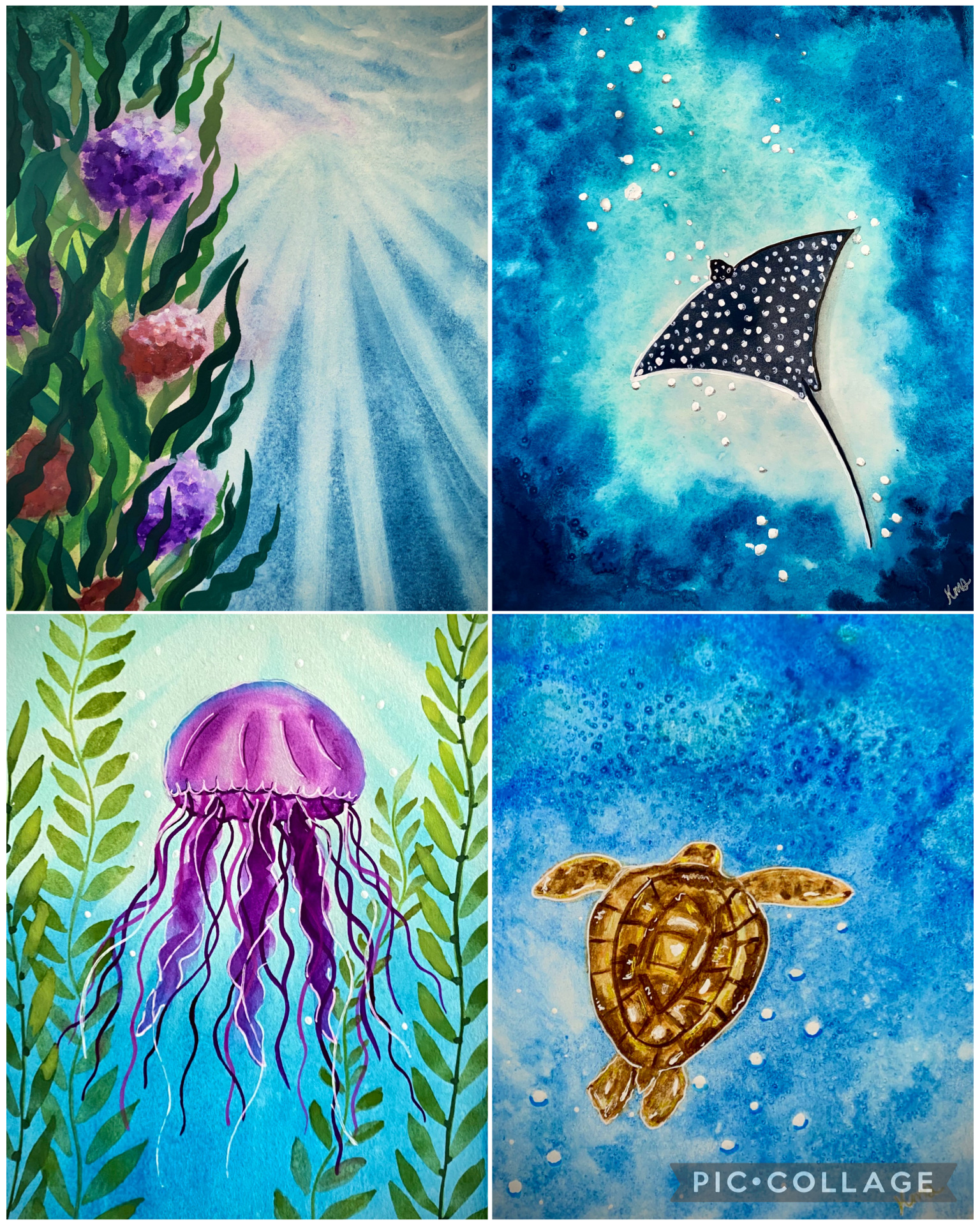 Sea & Bloom Studio photo 5