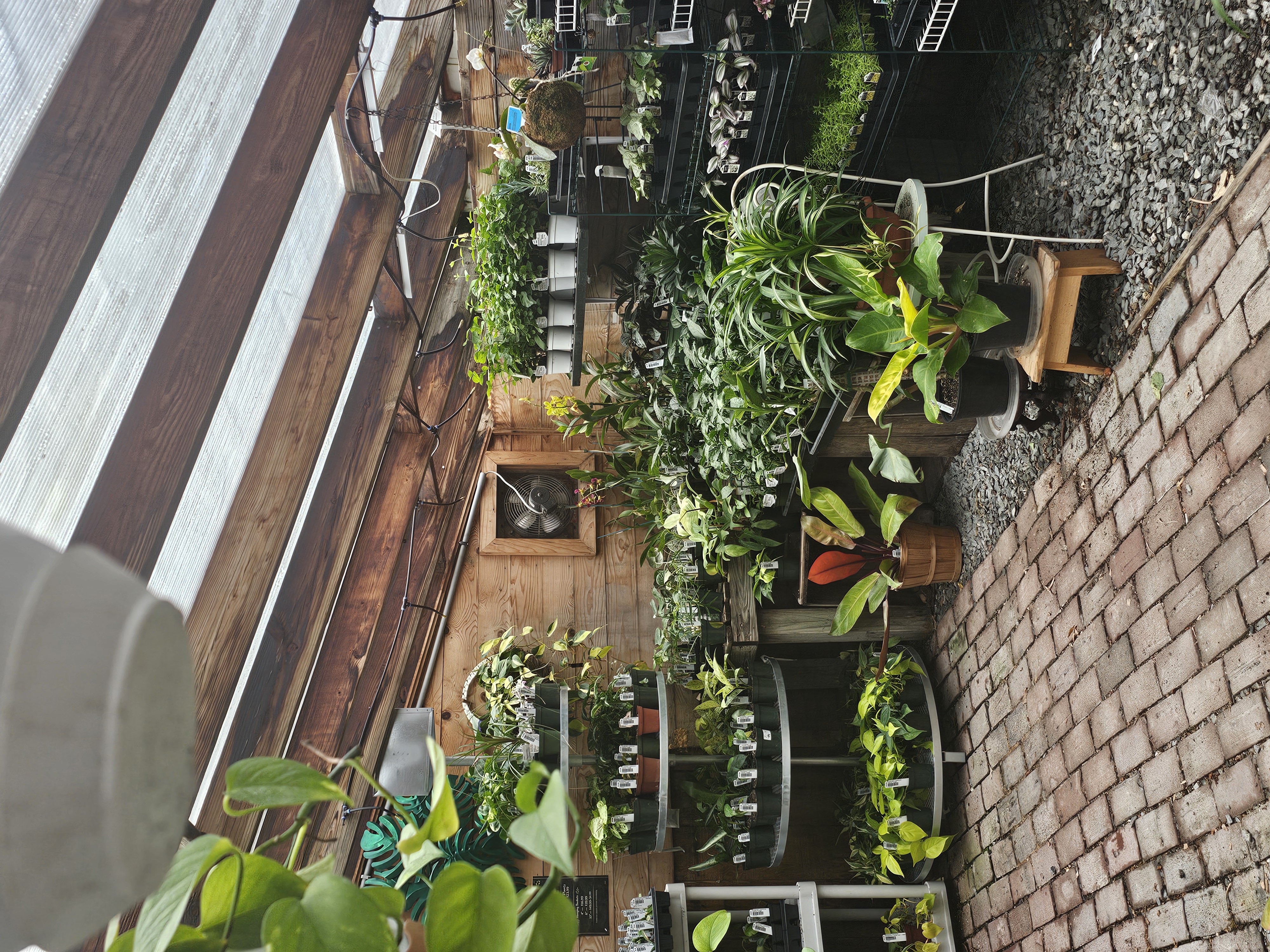 Windswept Indoor Oasis photo 6