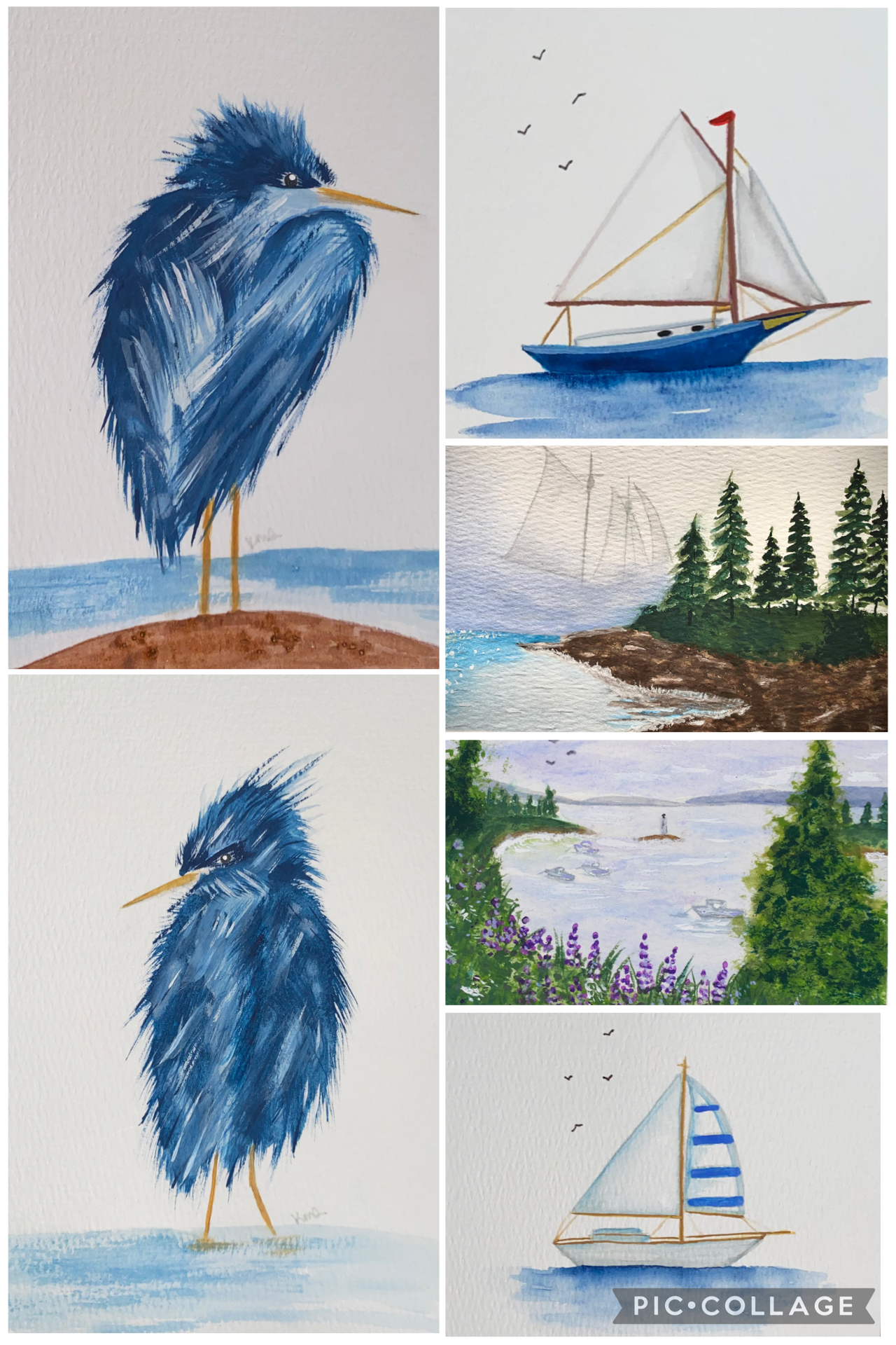 Sea & Bloom Studio photo 1