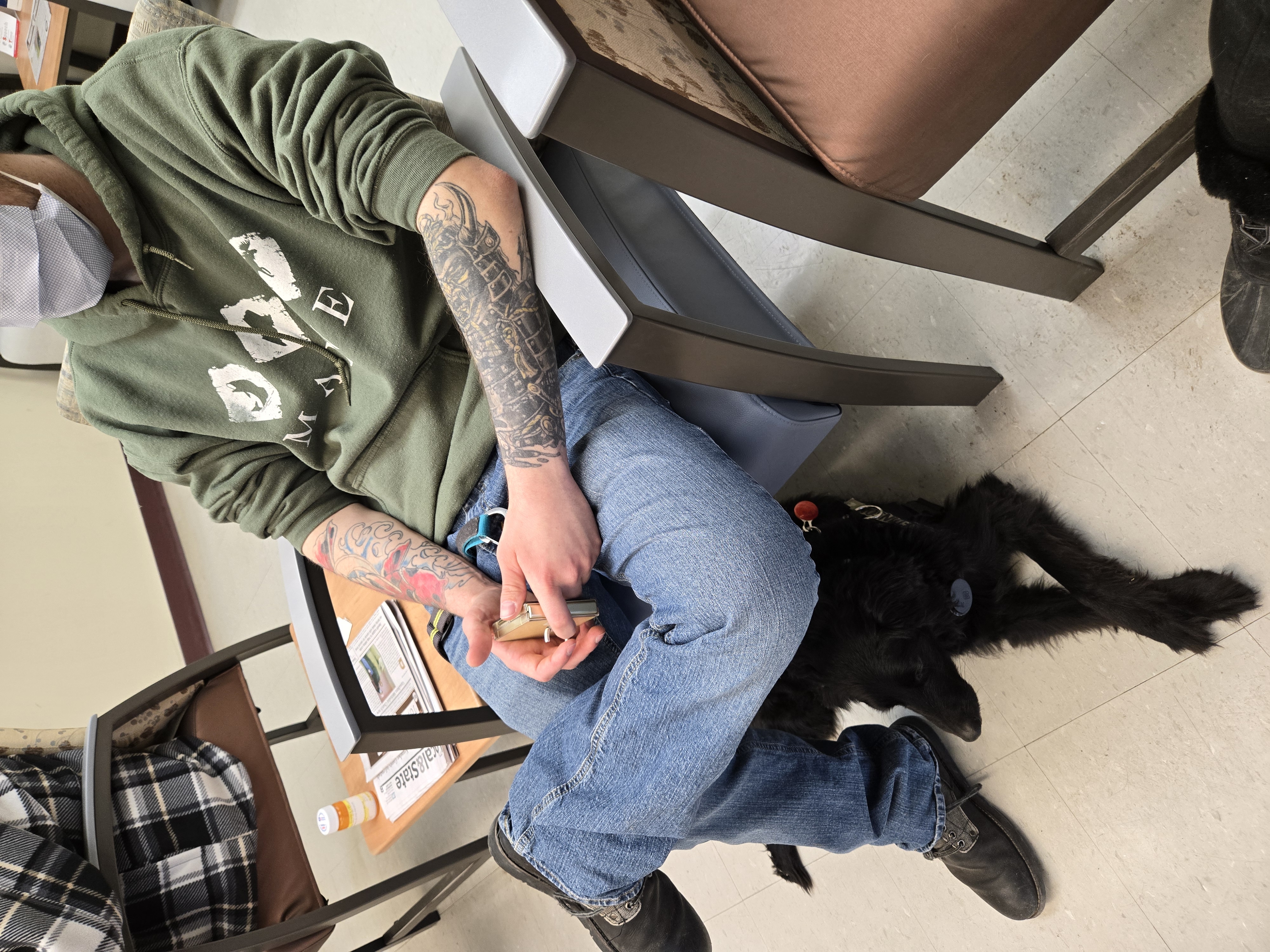 KD'S K9 Training photo 2