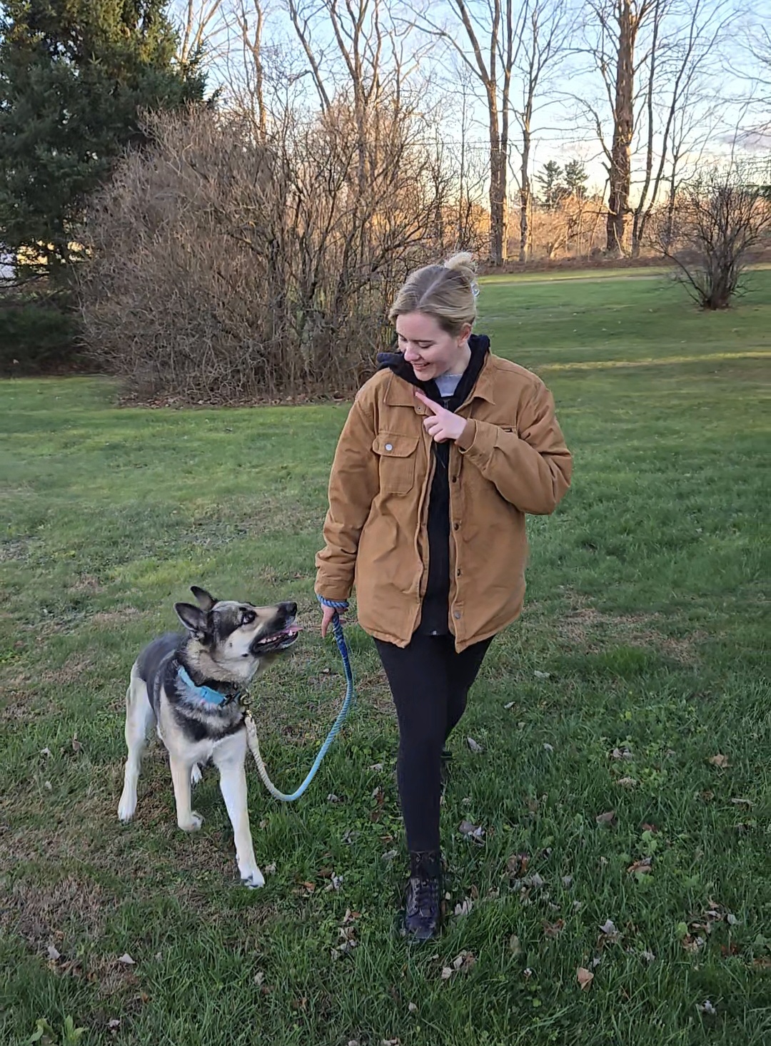KD'S K9 Training photo 3
