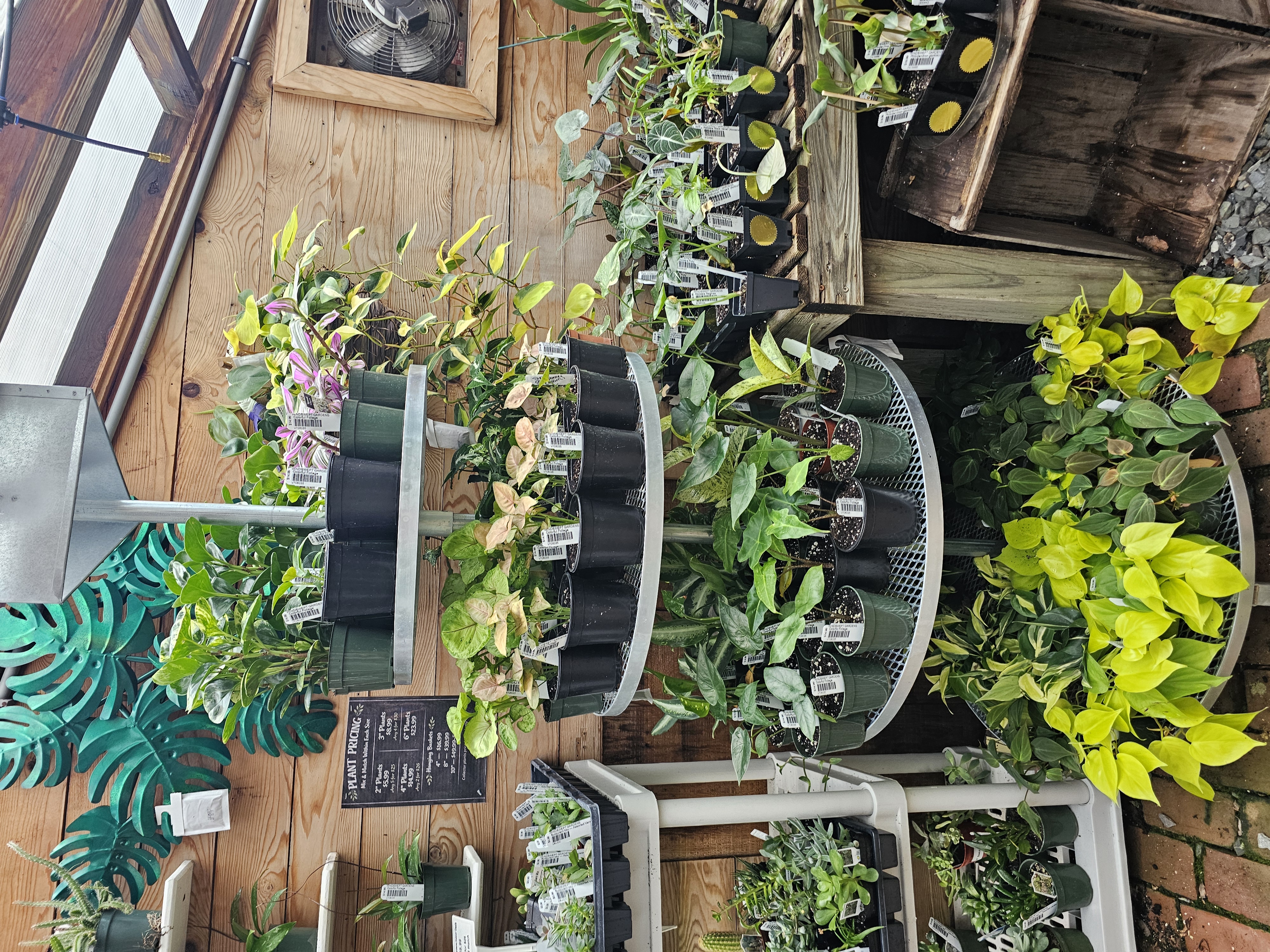 Windswept Indoor Oasis photo 3