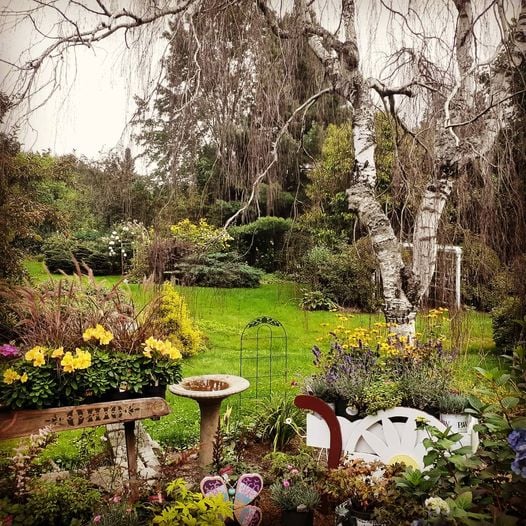 Windswept Gardens Nursery & Greenhouse photo 1